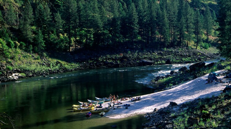 Idaho Salmon - Rafting the River of No Return