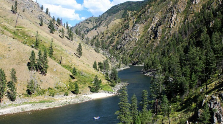 Idaho Salmon - Rafting the River of No Return
