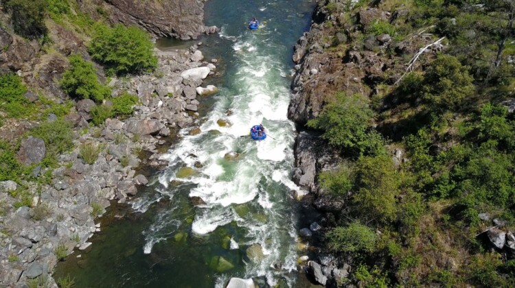 California Salmon Rafting Safari - Moorehouse Creek Rapid