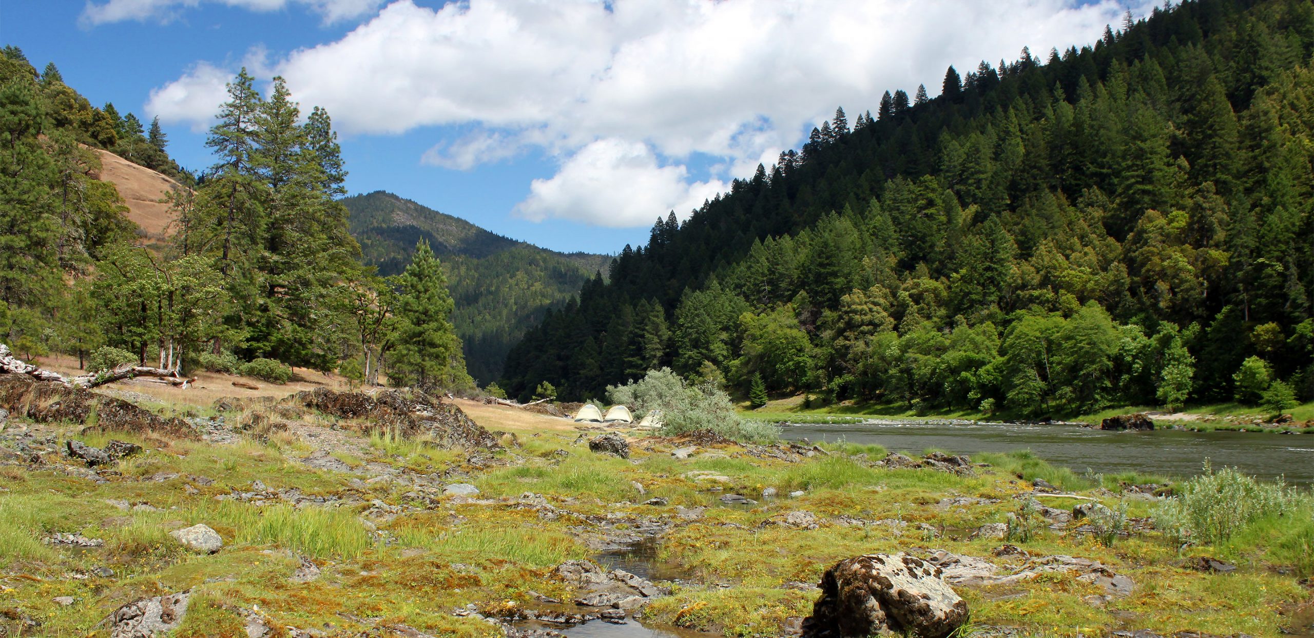 Rogue River Rafting - Oregon Rafting - Tyee Camp
