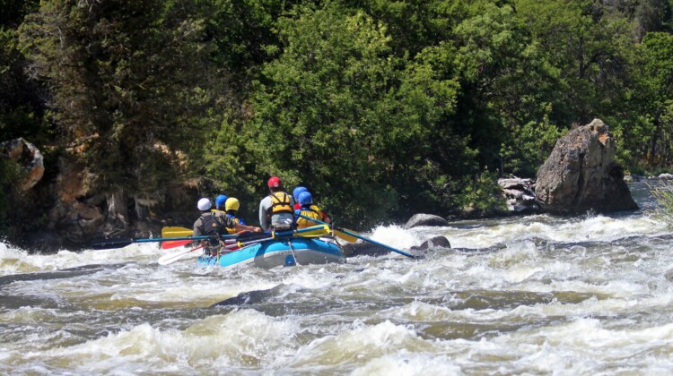 Upper Klamath River - Ambush Rapid - Rafting