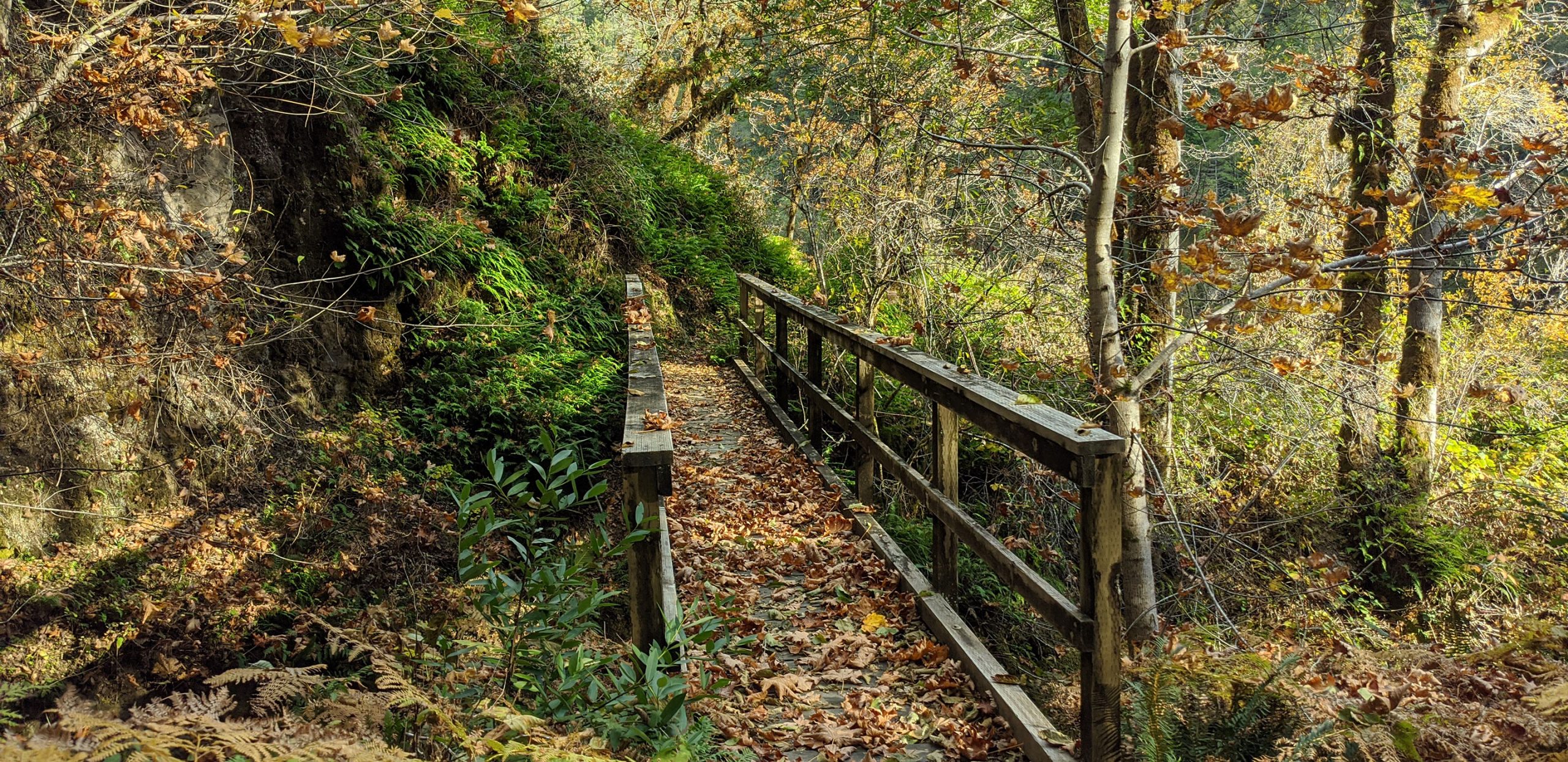 Rogue River Hiking Trips - Fall on the river