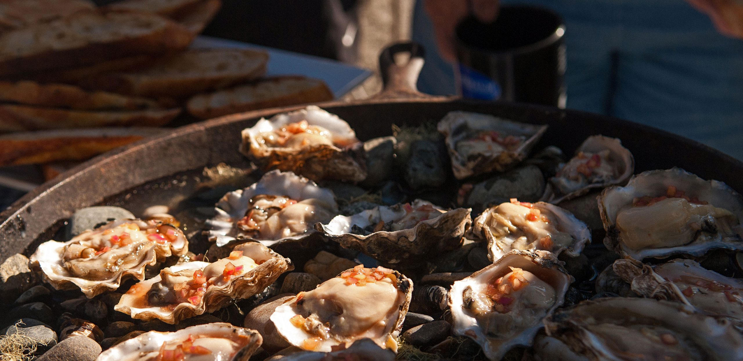 Wilderness Gourmet River Trip - Upper Klamath River