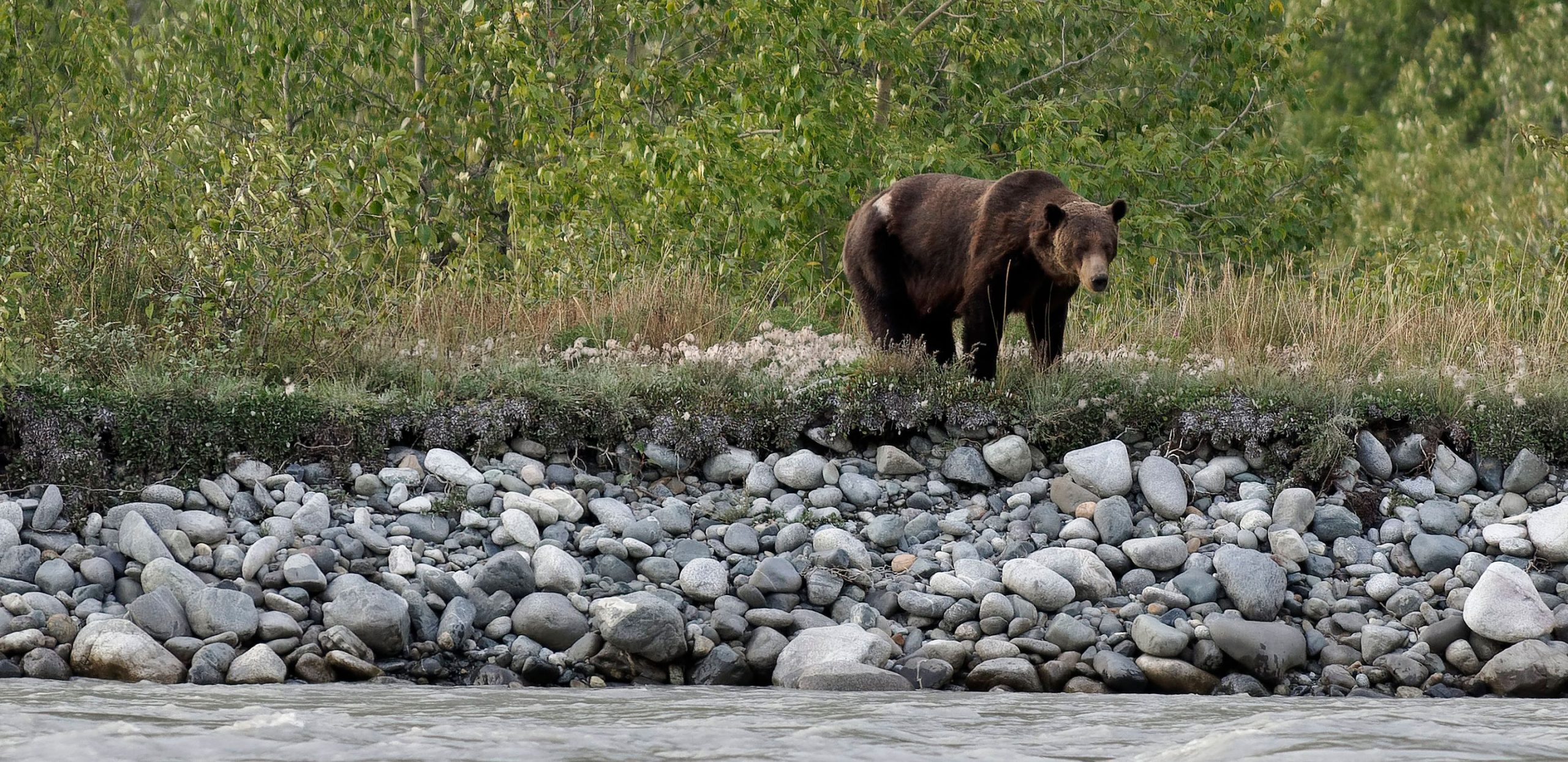 Tatshenshini River Rafting - Alaska