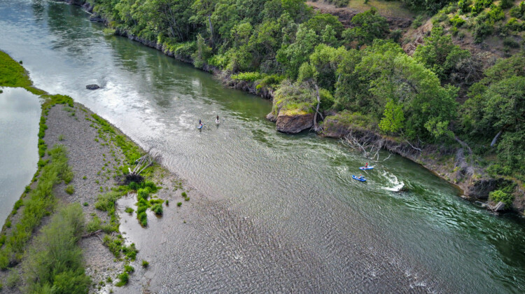 Rogue River Stand Up Paddleboarding - Ashland Oregon Day Trips