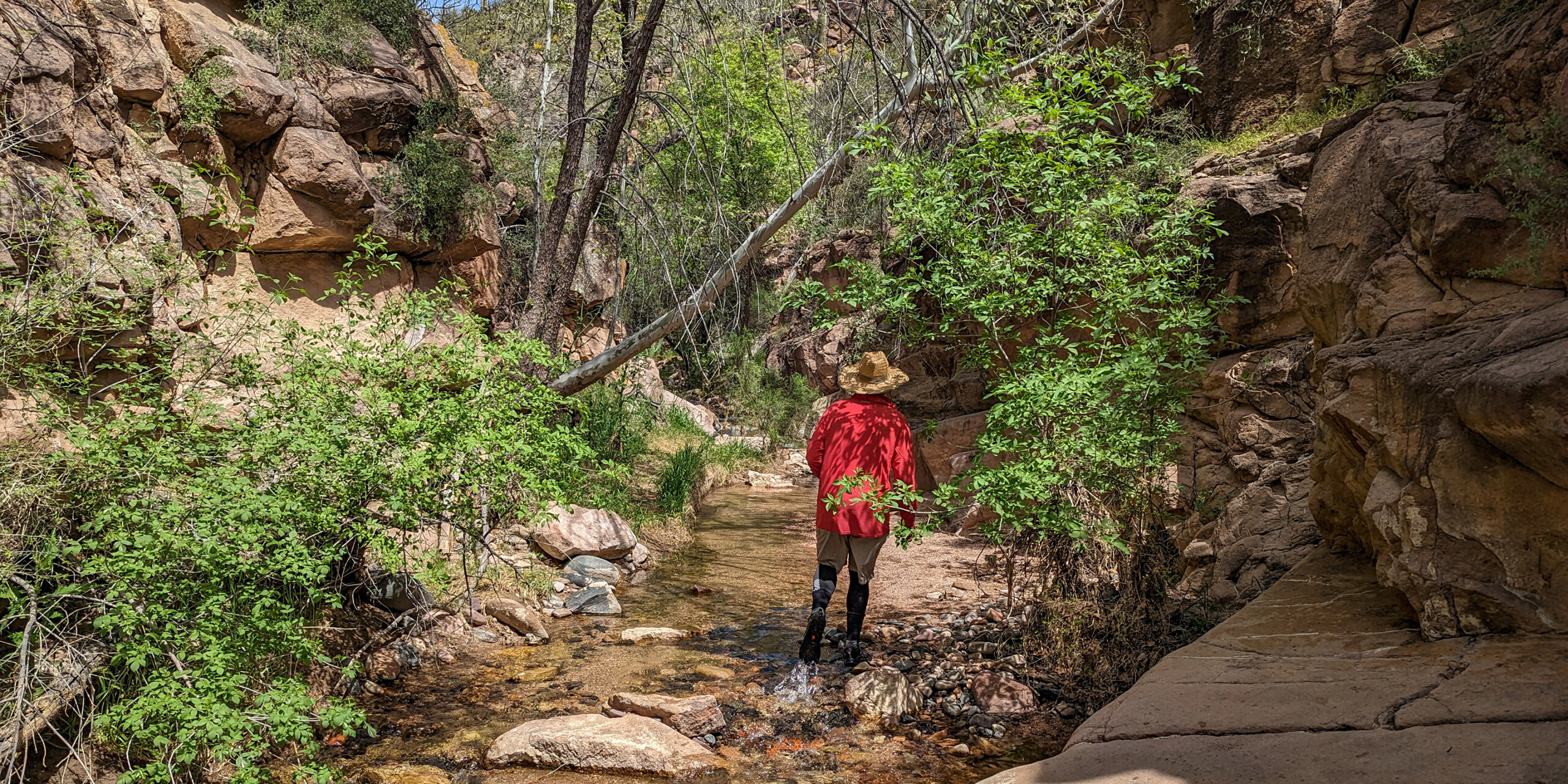 Salt River Rafting - cool side hikes - Photo: Pete Wallstrom