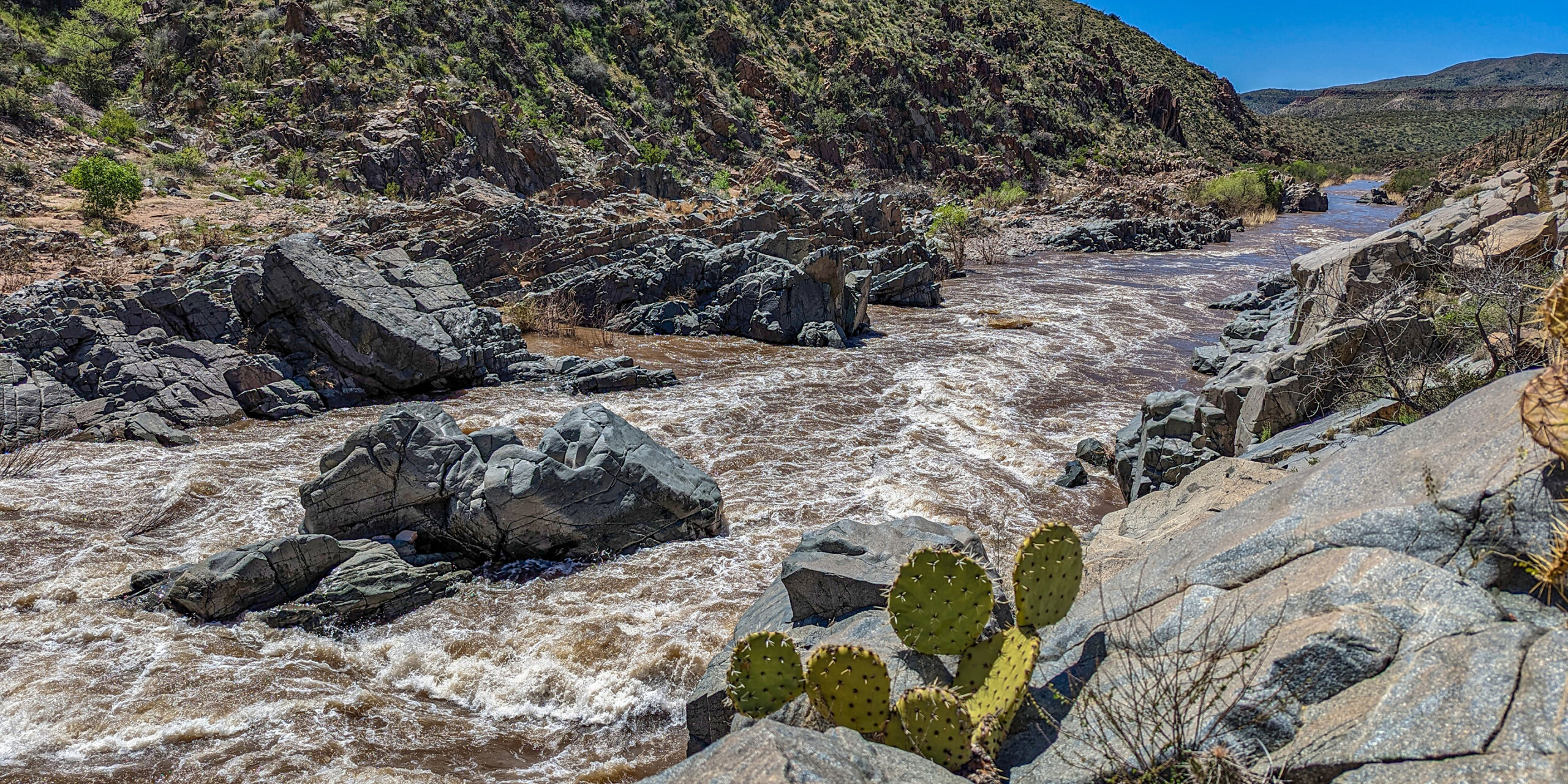Salt River Rafting - whitewater and cactus - Photo: Pete Wallstrom